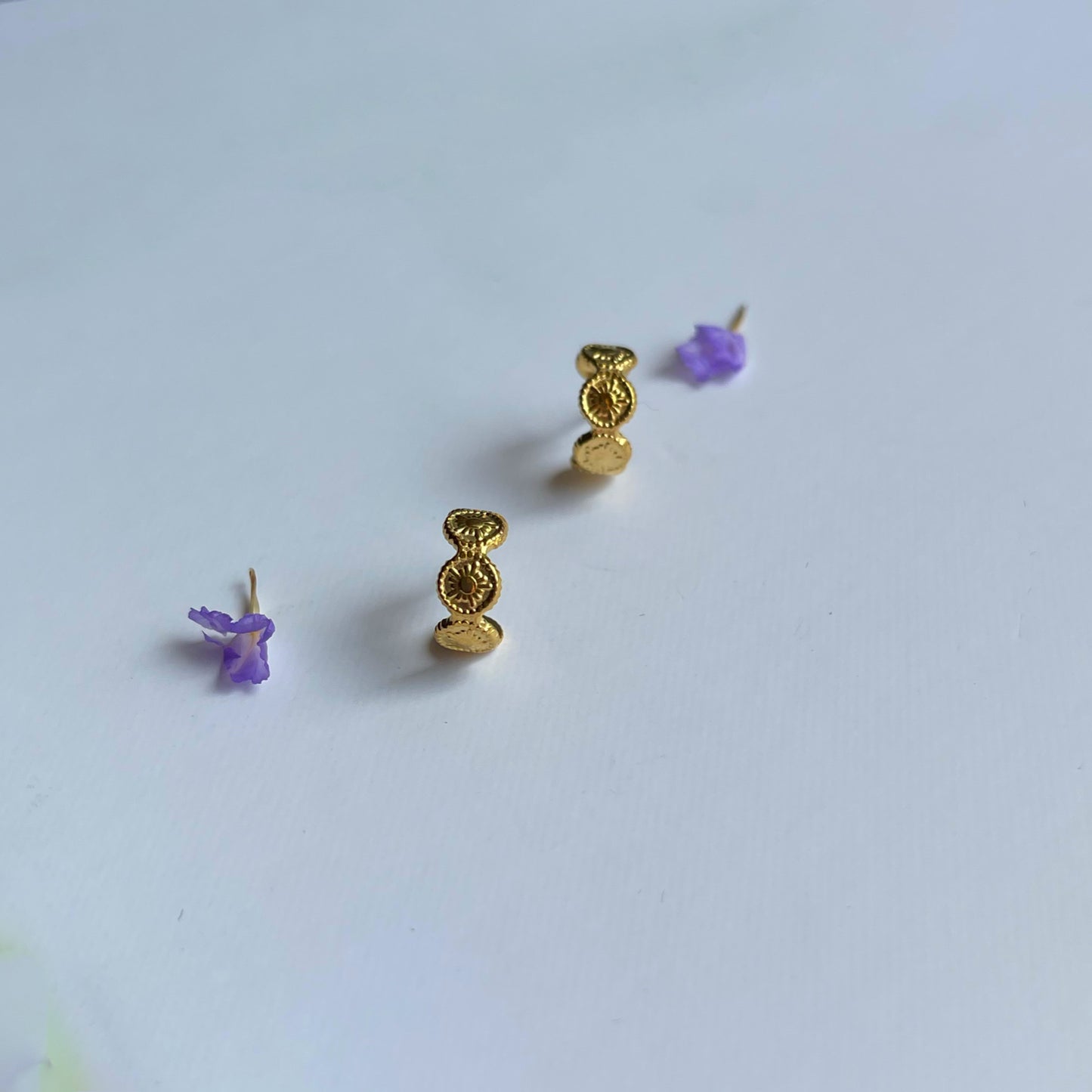 Aros monedas silueta