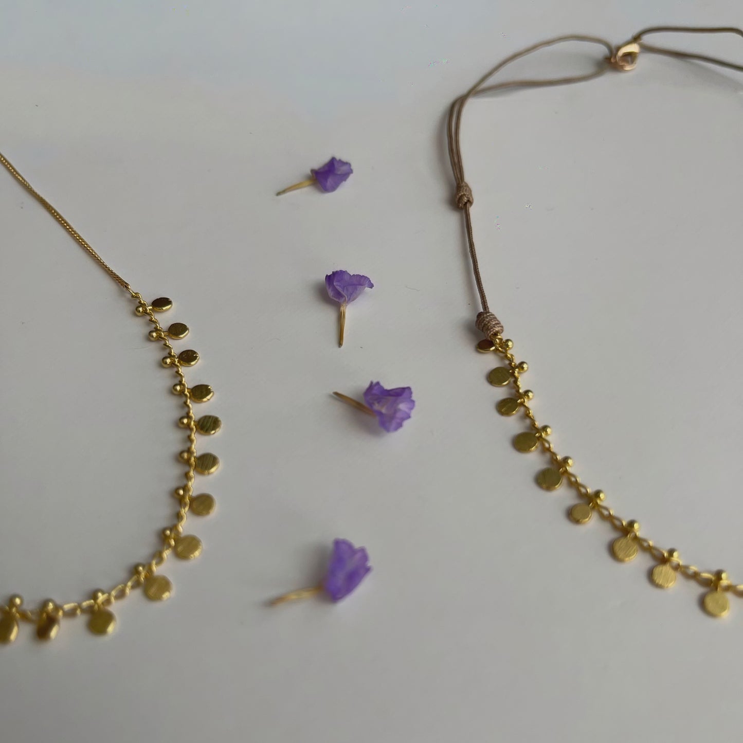 Collar ajustable plaquitas