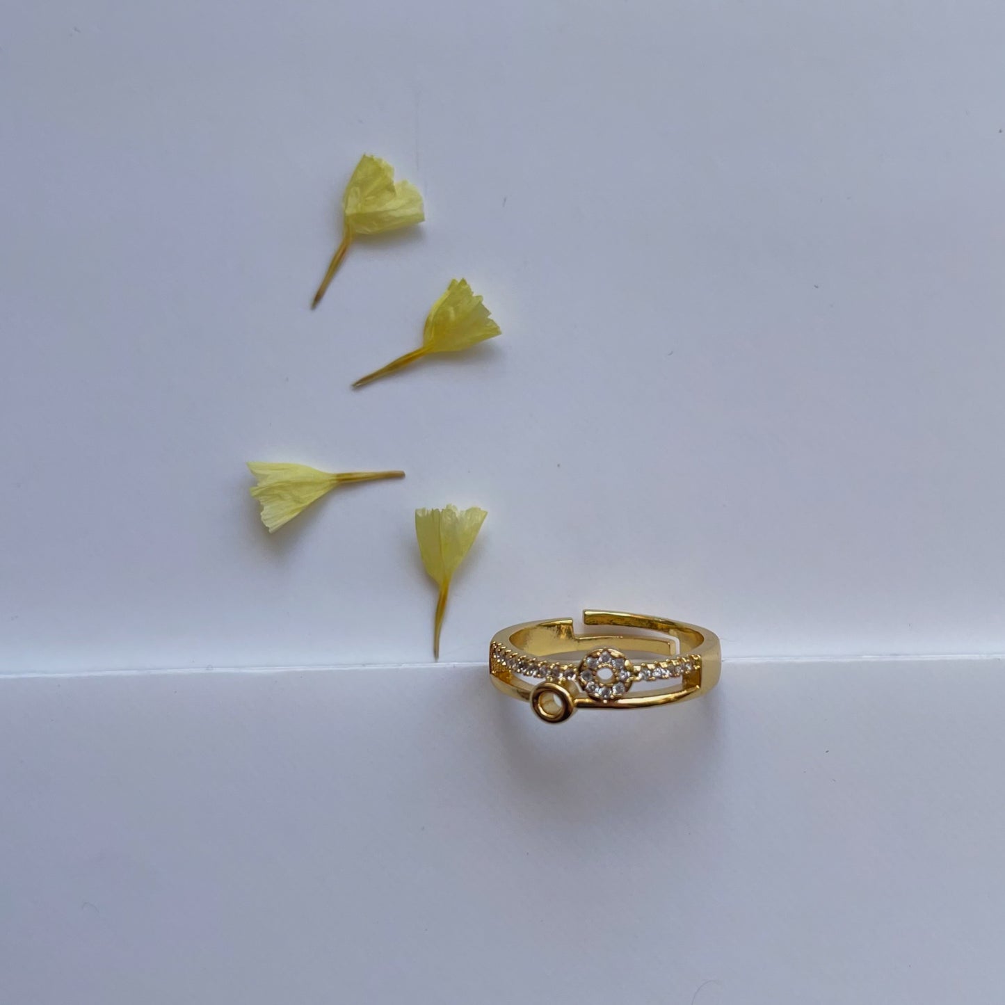 Anillo double circles